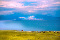 ����ľ������