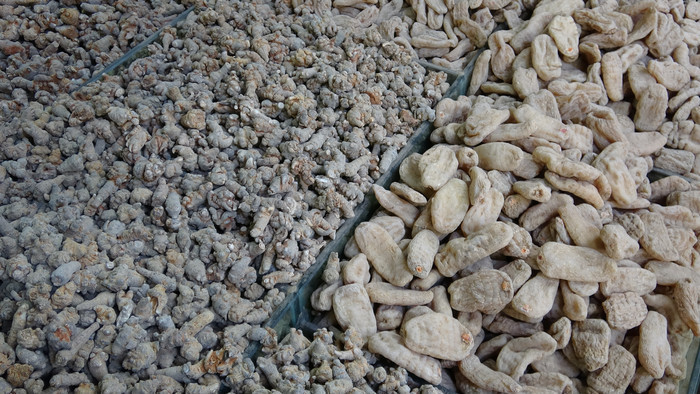 �����ز���������ͼƬ