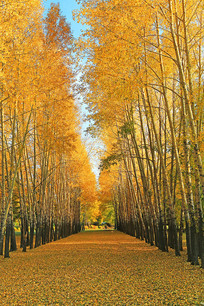 �����Ʈ�����Ҷ