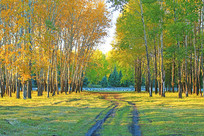 ��������С·