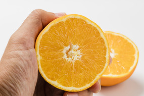 ����ĳ���