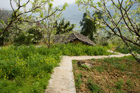 ��������ɽ����������԰���