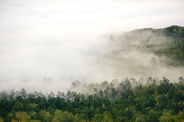 �����ֺ�