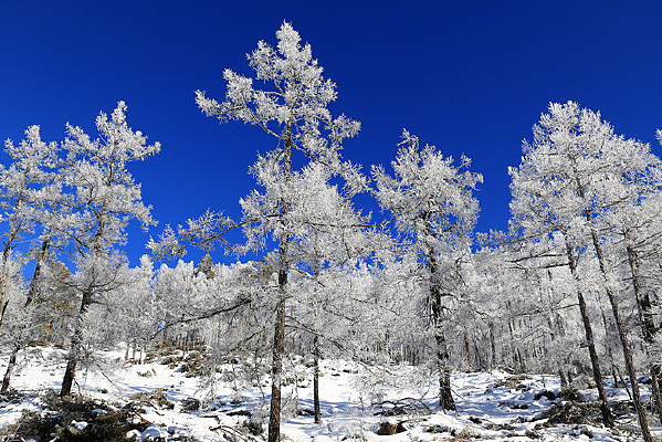 ���˰���ѩ������