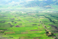 ������ɽũ��