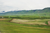 ������ɽũ��