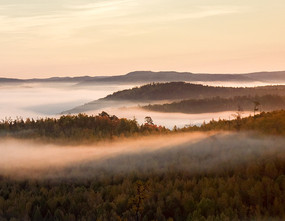 �ֺ�����