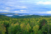 �ֺ���ɫ���