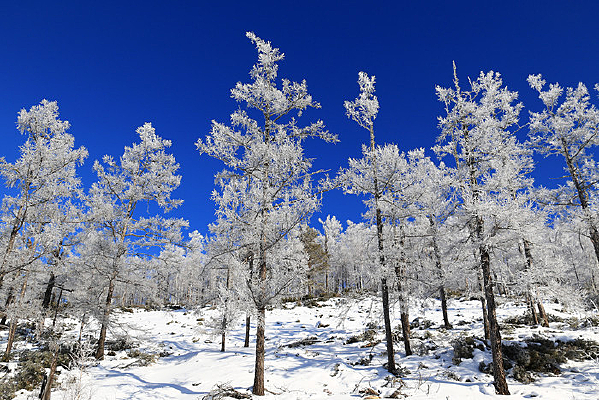 �ֺ�ѩ����ڡ