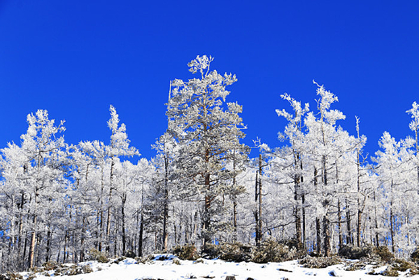 �ֺ�ѩԭѩ�־���