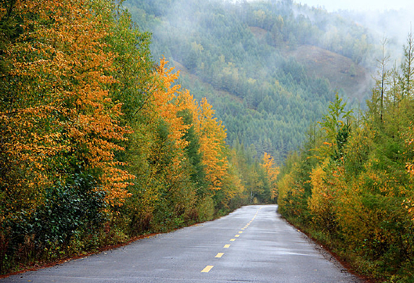 ������·