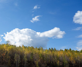 ������ɫ