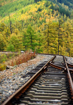 ������·