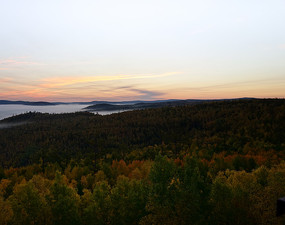 �����ֺ�