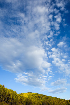 �����µ���ɫ