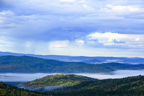 ɭ������