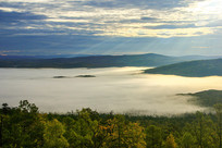 ɭ������