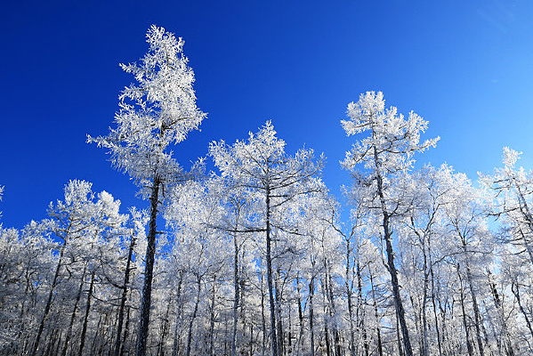 ѩ�����־���