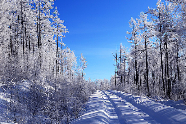 ѩ������ɽ·