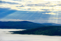 �����ֺ�