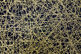 ��ɫ��������