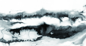 ˮī������