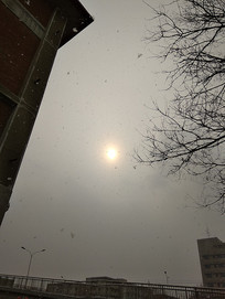 ��ѩ���̫��