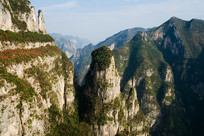 ������ɽʮ����֮��̳��