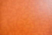 ��ɫƤ�������ز�