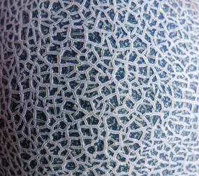 ���ܹ�����