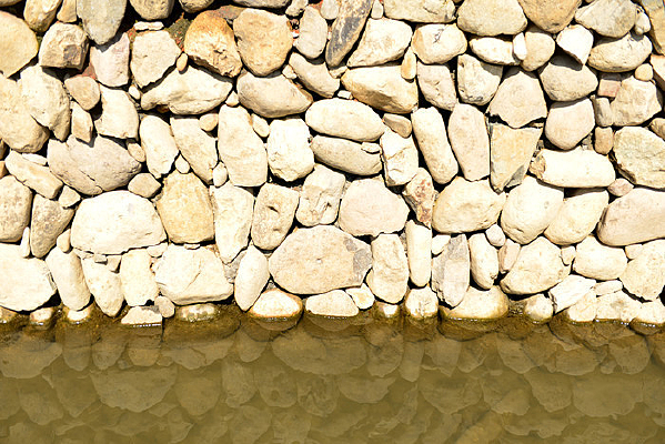 �ӱߵ�ʯ��ӵ�