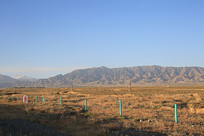 ���ҹ�����ʾ����