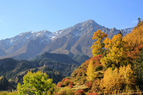 ��ɫ����ѩɽ����