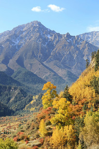 ��ɫɭ��ѩɽ��