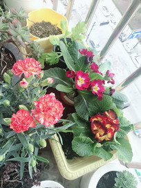 ����ܰ��