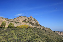 ��������ɽ��