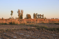 �ո���ׯ�ڵ�