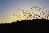 ����ճ����� 