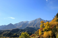 ѩɽ�µ�����