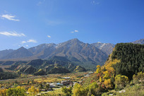 ѩɽ�µ�����