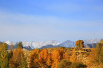 Զ��ѩɽ��ɫ����