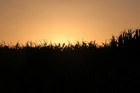 ׯ�ڵ��ճ����ƻ�