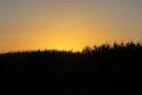 ׯ�ڵ����׵��ճ���Ӱ