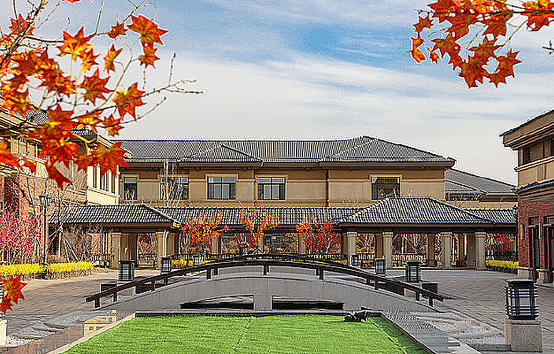 ��Ҷ�µ���ʽͥԺ