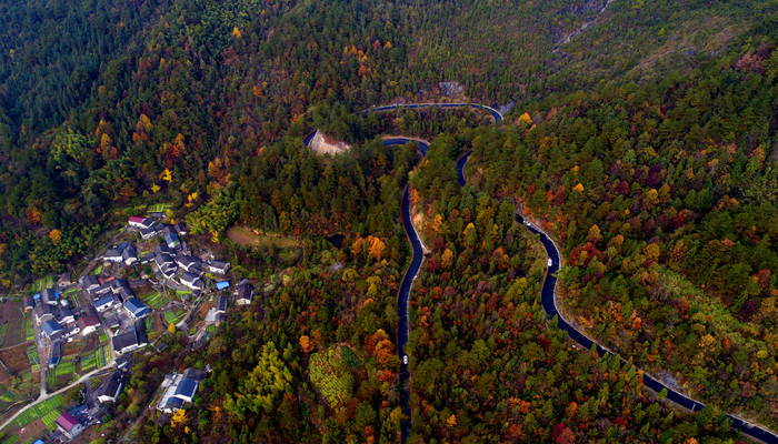 ���������ɫ