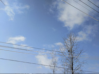 �����µ����ѱ���