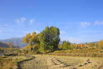 ��԰����������