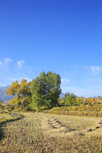 ������԰