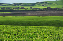 ��ԭ�ϵ�ɽ���ׯ