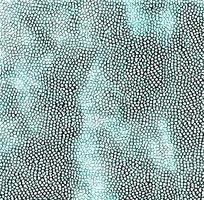 ����Ƥ������ͼ��